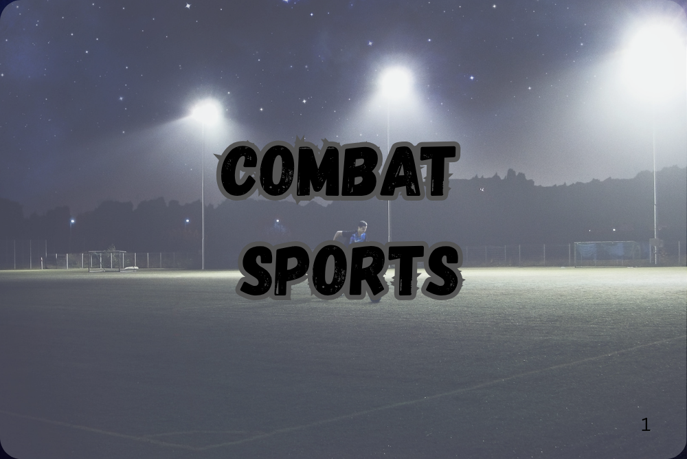 The World of Combat Sports: